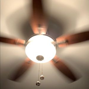 Meet your Posher, Noah